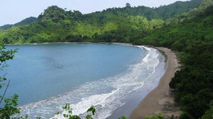 Pantai Bandealit di kawasan Taman Nasional Meru Betiri, Kabupaten Jember, Jawa Timur. - Sofyan Sauri