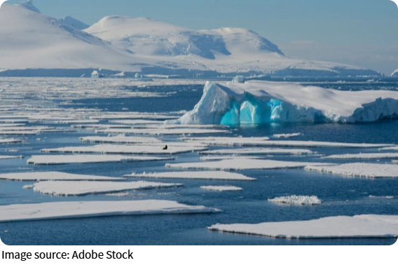 Logam Berat Antartika