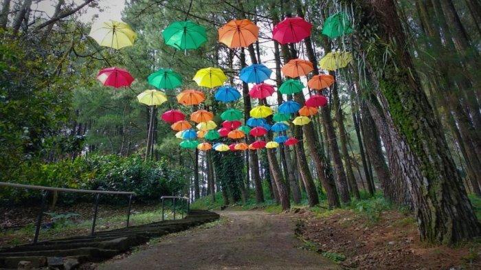 Salah satu spot foto di Bukit Baros, Sukabumi.