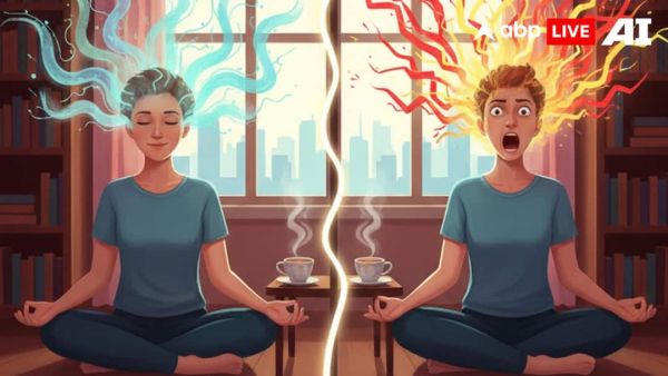 (Image Source: ABPLIVE AI)