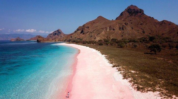 Pantai Pink di Pulau Komodo Labuan Bajo Manggarai Barat, NTT 