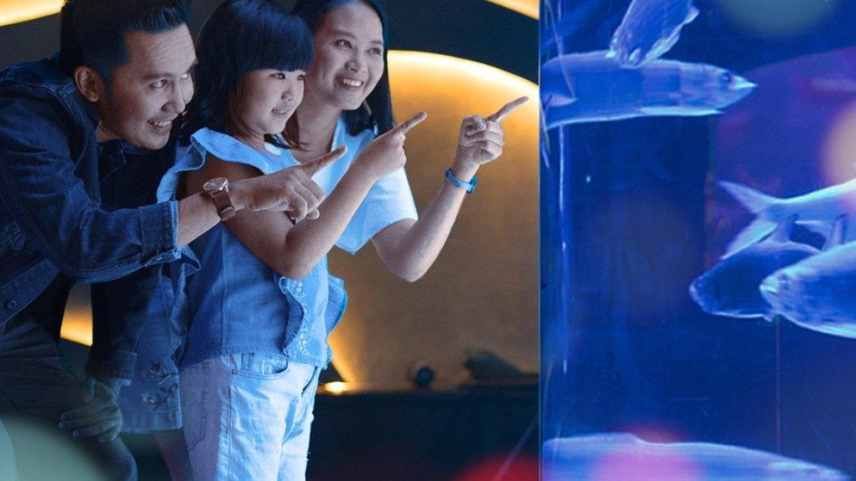 Liburan keluarga ke Jakarta Aquarium Safari Jakarta Barat.