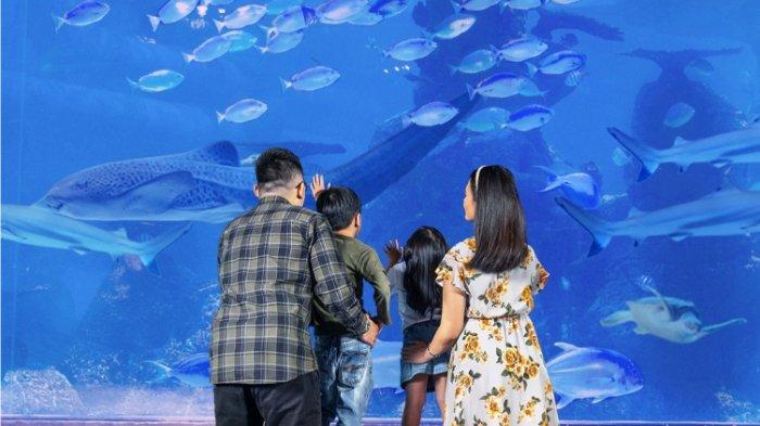 Jakarta Aquarium Safari, satu tempat wisata terbaik di Jakarta