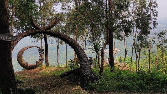 Puncak Pinus Becici, satu tempat wisata malam di Jogja yang kids friendly buat dikunjungi saat liburan akhir tahun.