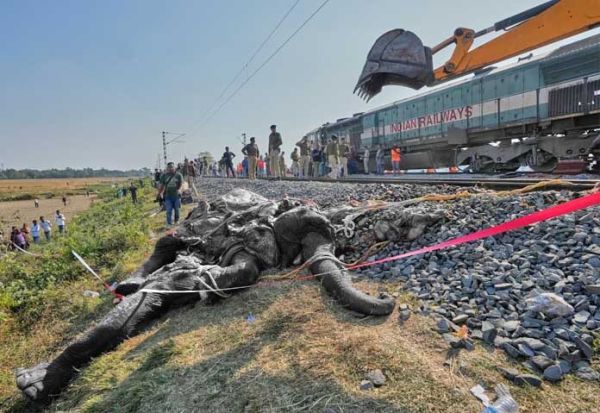 ซากช้างป่าเอเชียถูกนำออกจากรางรถไฟหลังจากรถไฟความเร็วสูงชนฝูงช้างป่าในช่วงเช้ามืดที่หมู่บ้านชางจูไร ทางตะวันออกของเมืองกูวาฮาติ ประเทศอินเดีย เมื่อวันเสาร์ที่ 20 ธันวาคม 2025