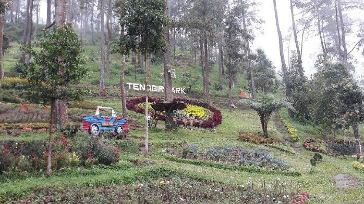 TENGGIR PARK - Salah satu sudut taman di Tenggir Park yang kerap jadi lokasi selfie, Karanganyar, Minggu (3/3/2019)