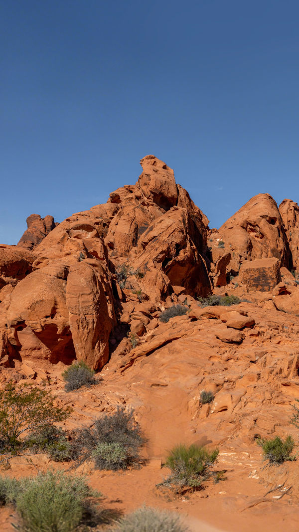 Fiery Desert Trip