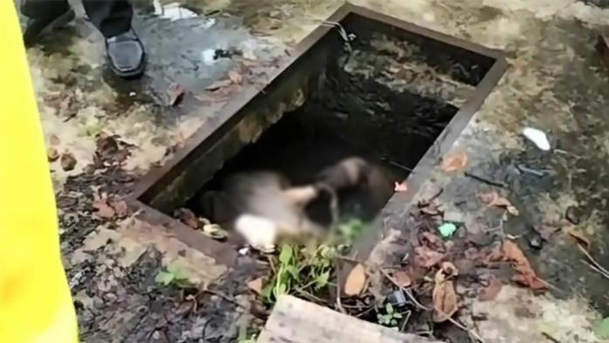 MAHASISWI TEWAS - (kiri dan kanan) Zahra Dilla (20), mahasiswi Fakultas Ekonomi dan Bisnis (FEB), Universitas Lambung Mangkurat (ULM) Banjarmasin ditemukan tewas di dalam selokan, Rabu (24/12/2025). (tengah) Terduga pelaku pembunuhan mahasiswi ULM yang berhasil diringkus pihak kepolisian kurang dari 24 jam. Pelaku diduga seorang oknum polisi.