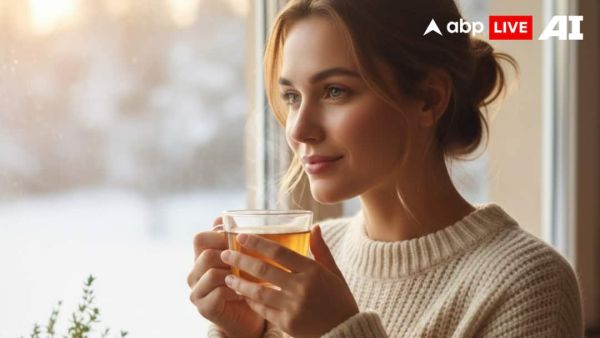 (Image Source: ABPLIVE AI)