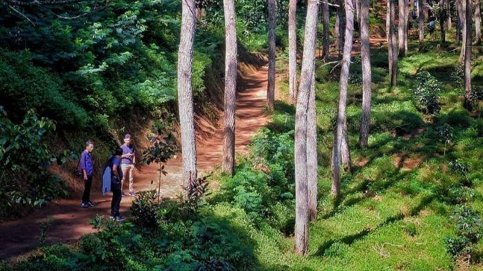 Karacak Valley, tempat wisata yang lagi hits di Garut.