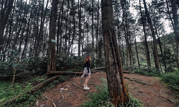 Wisata Alam Batu Lempar di Garut, Jawa Barat.