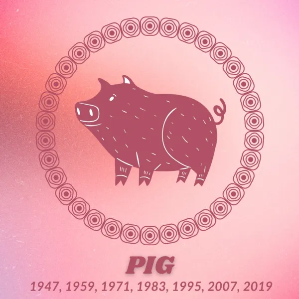 pig chinese zodiac signs luck financial success December 31 2025