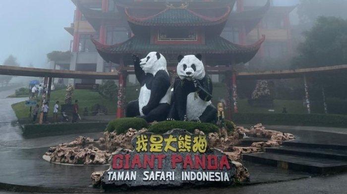 Istana Panda di Taman Safari Bogor di Kecamatan Cisarua, Bogor, Jawa Barat.