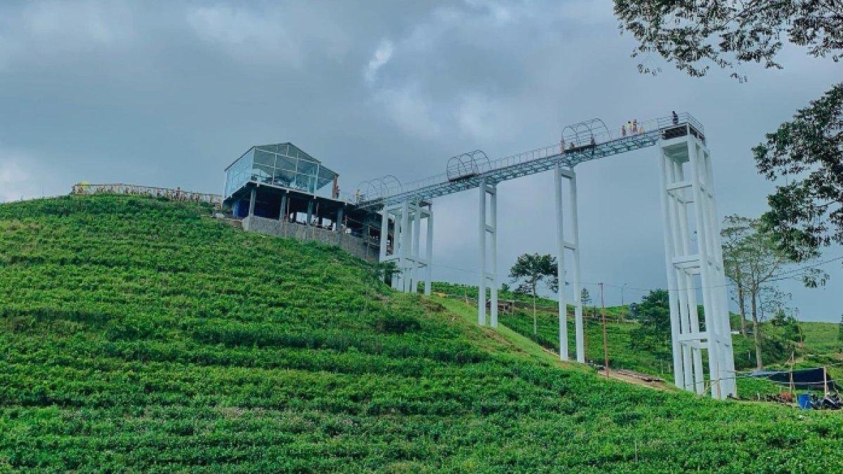 Pemandangan jembatan kaca Kemuning Sky Hills yang dikelilingi kebun teh. 