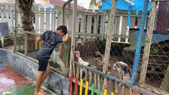 WISATA - Suasana aktivitas pengunjung di area playground dan melihat hewan-hewan di Wisata Nyawang Kewan Rafisha, Jalan Tingang 20 B, Bukit Tunggal, Palangka Raya, Sabtu (3/1/2026).