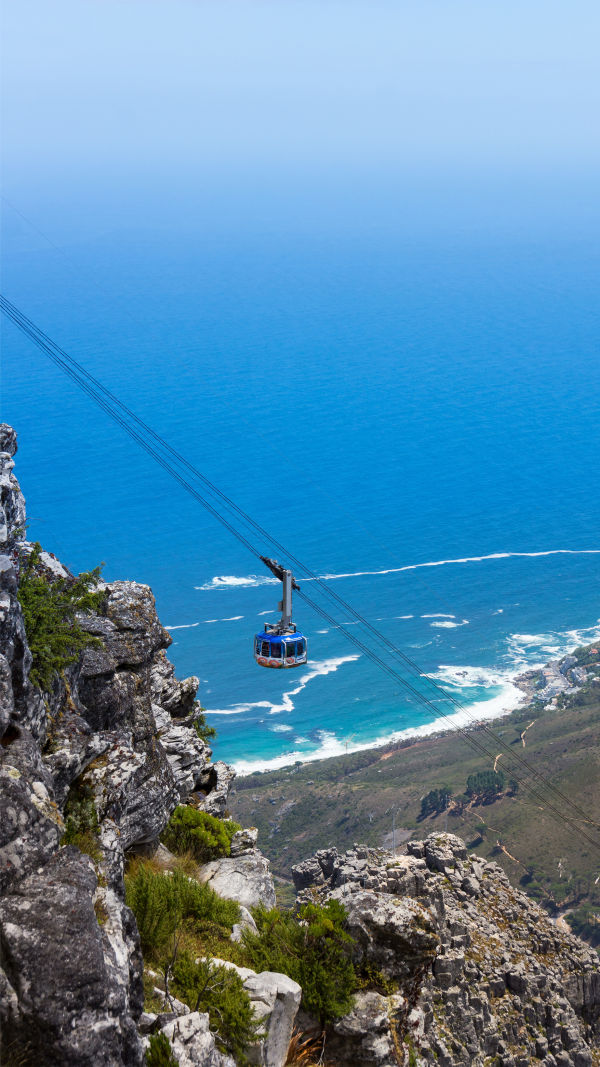 Cape Town Joy