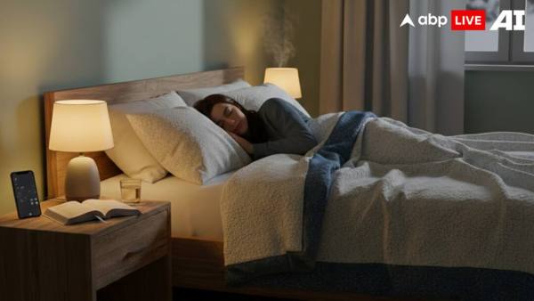 (Image Source: ABPLIVE AI)