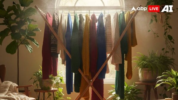 (Image Source: ABPLIVE AI)