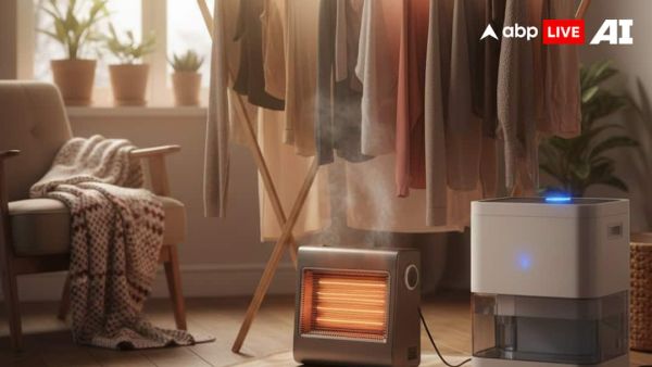 (Image Source: ABPLIVE AI)