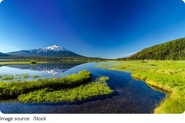 Encanto De Enterprise