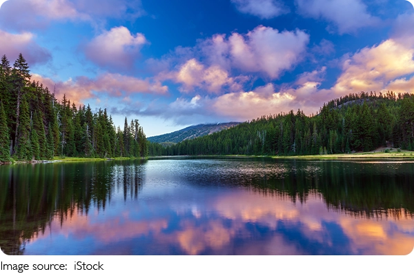 Encanto De Enterprise