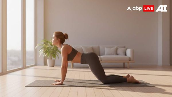 (Image Source: ABPLIVE AI)