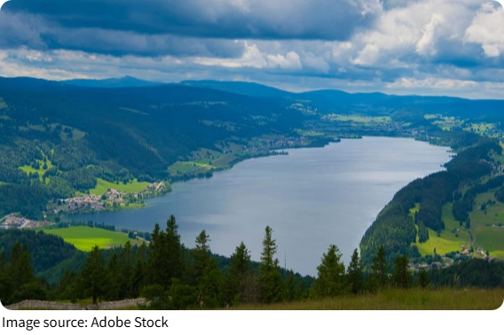 Peaceful Arthur Hill Lake