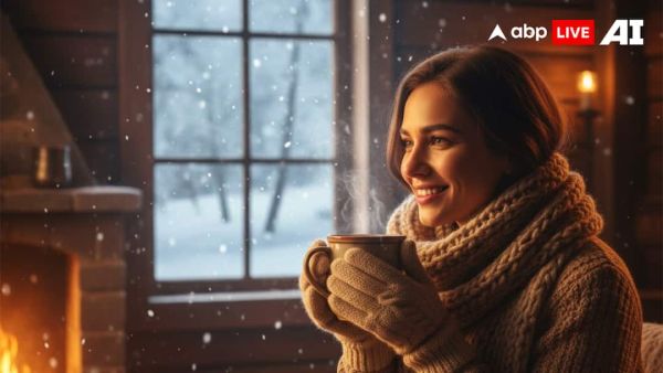 (Image Source: ABPLIVE AI)