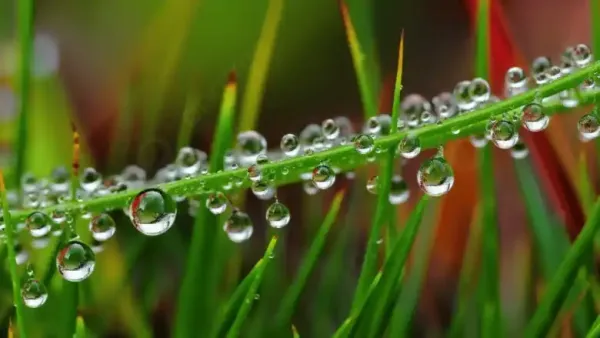 Keep these things in mind