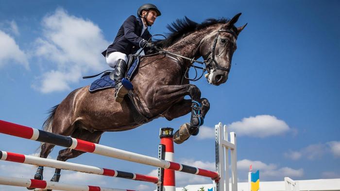 Show jumping berkuda