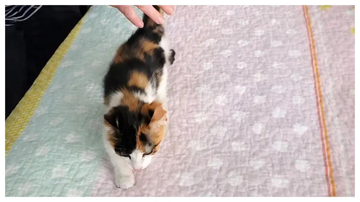 Ibu Christina Olivo dan kucingnya saat masih kecil.