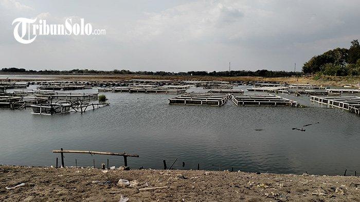 Kondisi keranda di Waduk Mulur, Kecamatan Bendosari, Kabupaten Sukoharjo, Rabu (13/9/2023).