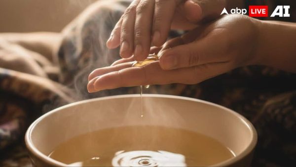 (Image Source: ABPLIVE AI)