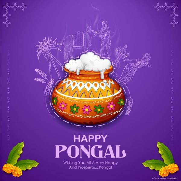 This may contain: happy pongal greeting card with pot full of milk and flowers on purple background