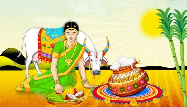 This may contain: an advertisement for the happy pongal festival with a cow and pot on it