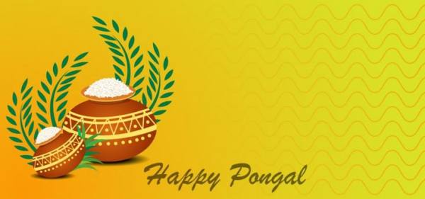 This may contain: happy pongal images for whatsapp messages, wishes and greetings on pongal day