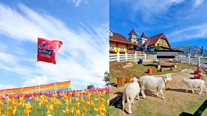 WISATA BOYOLALI - Potret Cepogo Cheese Park yang kini menjadi salah satu destinasi wisata populer di Boyolali, Jawa Tengah. Dengan suasana sejuk dan pemandangan indah khas pegunungan, taman wisata ini menawarkan kombinasi unik antara edukasi, kuliner, dan hiburan keluarga.