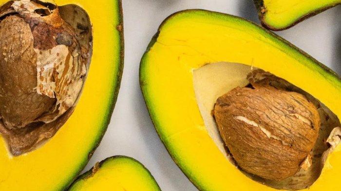 Punya manfaat yang luar biasa, jangan asal buang biji alpukat ya.