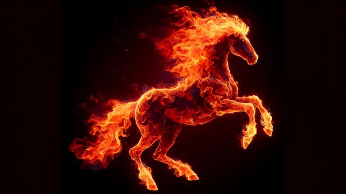 TAHUN KUDA API- Menurut kalender China, tahun ini merupakan Tahun Kuda Api yang pergerakannya sangat progresif.