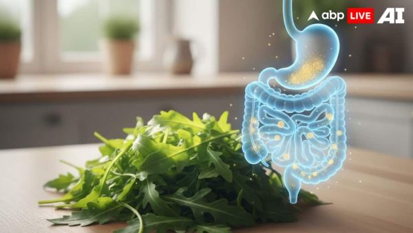 (Image Source: ABPLIVE AI)