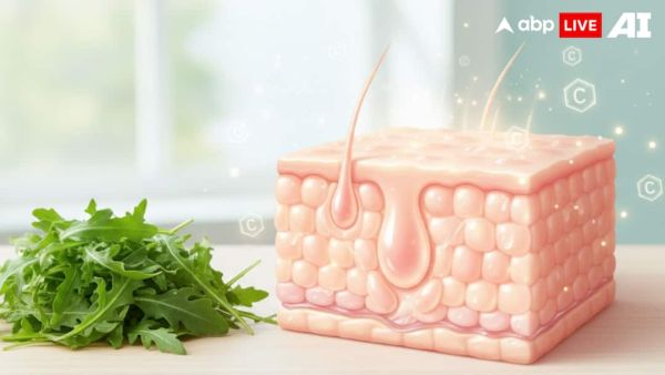 (Image Source: ABPLIVE AI)