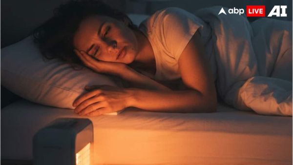 (Image Source: ABPLIVE AI)