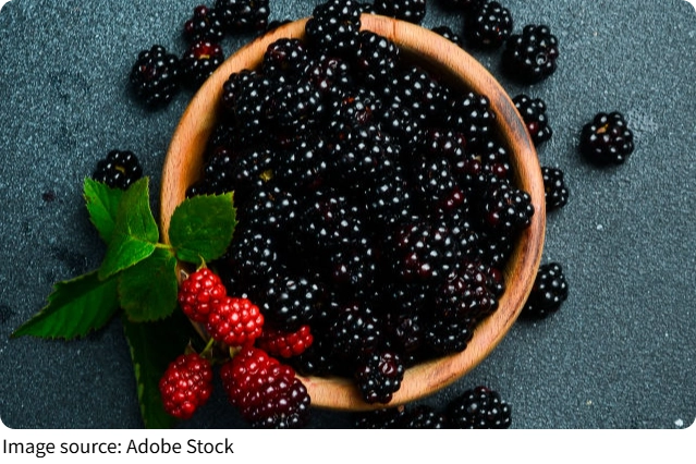 Frutas Vermelhas Poderosas