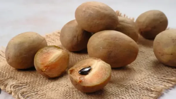 Whole and cut chikoo (sapodilla) fruits placed on a jute cloth.