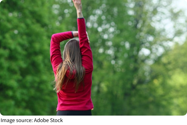 Зелёные союзники города