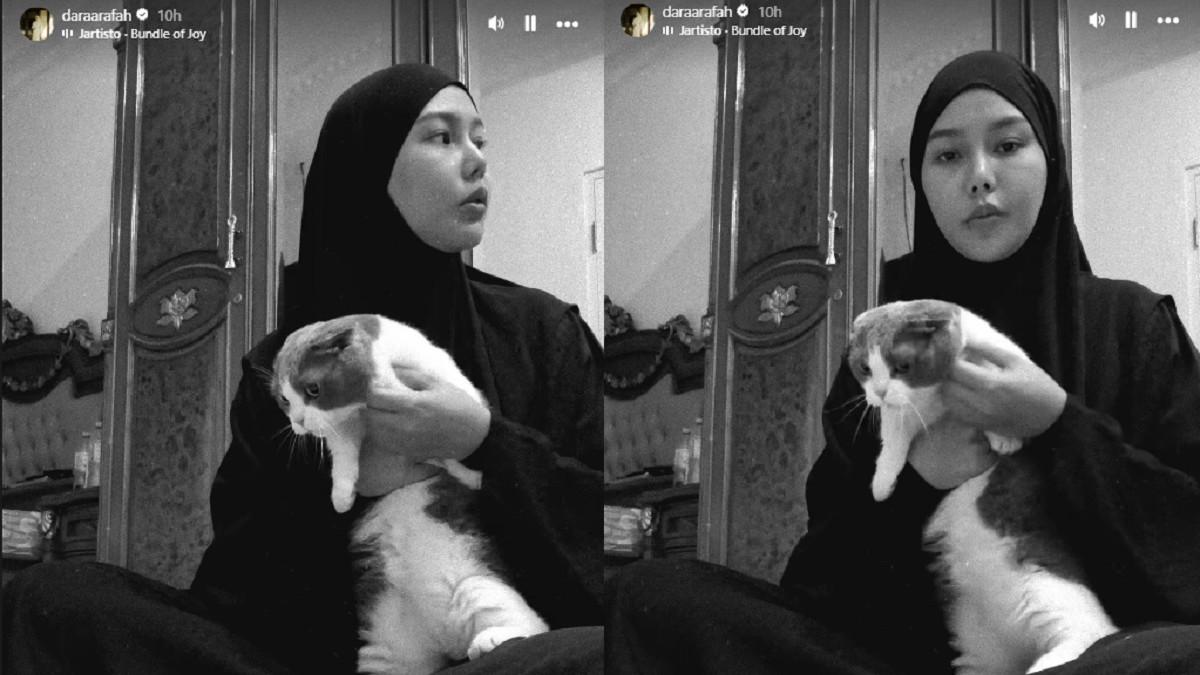 MIKASA KUCING LULA - Dara Arafah ungkap nasib kucing kesayangan Lula Lahfah