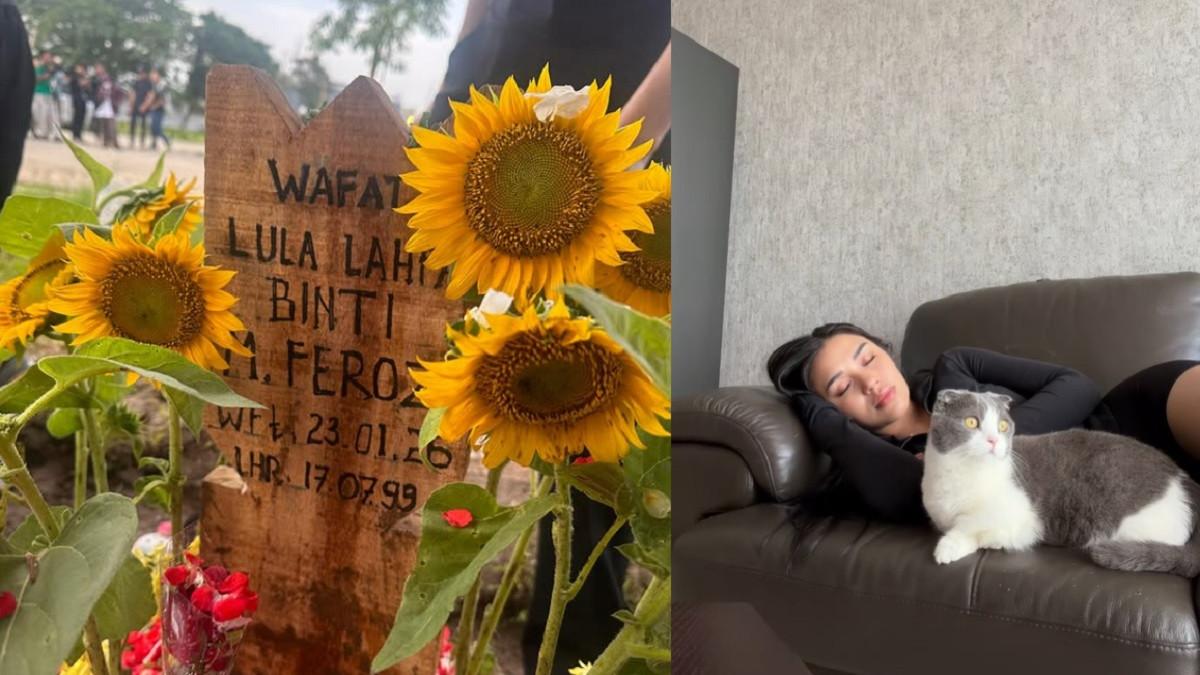 MIKASA KUCING LULA - Kolase potret makam Lula Lahfah dan Lula bersama kucingnya