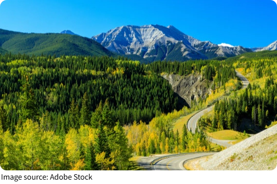 Waterton: Doğanın Kalbi