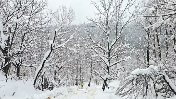 Heavy Snowfall and Avalanche Alerts Issued for Uttarakhand’s High-Altitude Districts