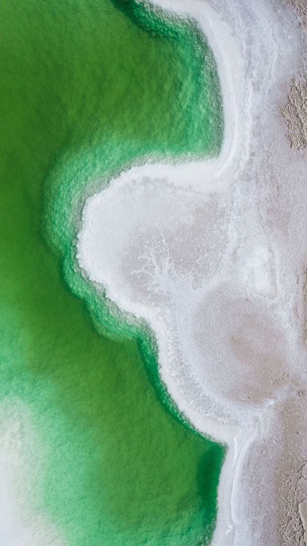 Great Salt Lake in Utah!